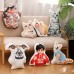 Custom Shape Pillows