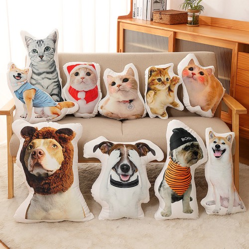 Custom Shape Pillows